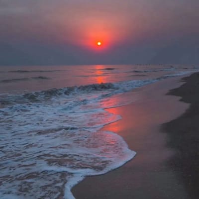 Eko Sulistyo avatar